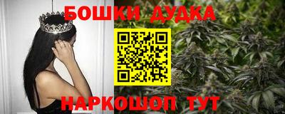 дживик Дубна