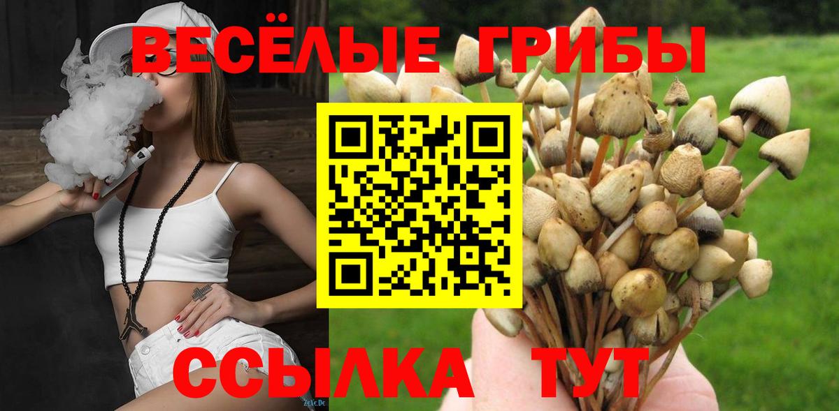 Галлюциногенные грибы MAGIC MUSHROOMS Новоалександровск