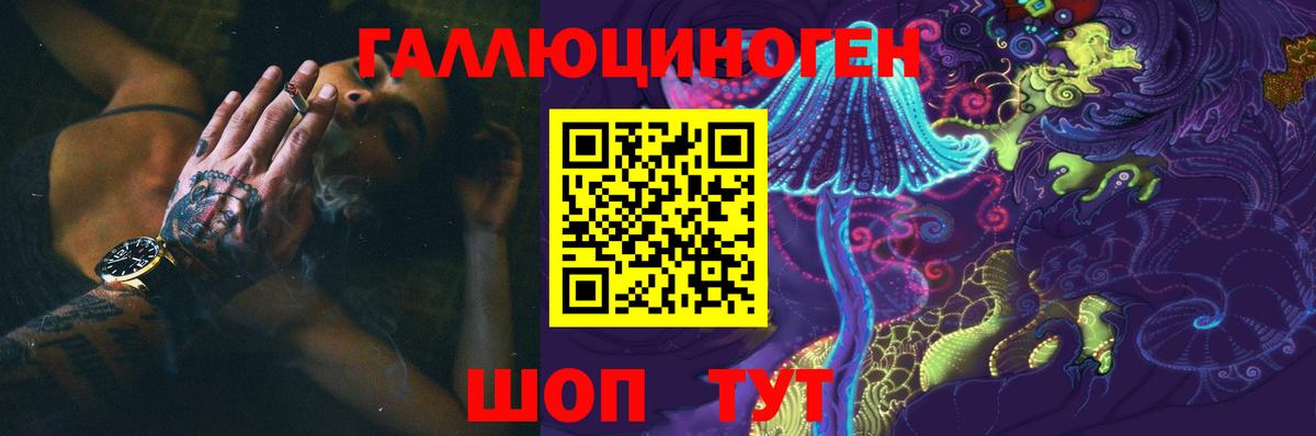 Новоалександровск  Галлюциногенные грибы Magic Shrooms  Вход с VPN 